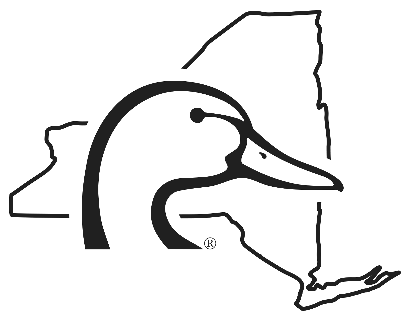 new-york-ducks-unlimited